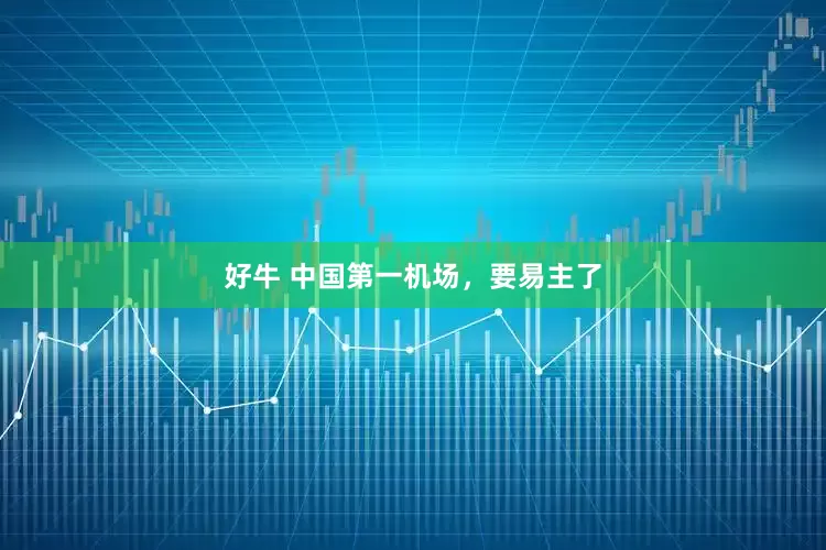 好牛 中国第一机场，要易主了