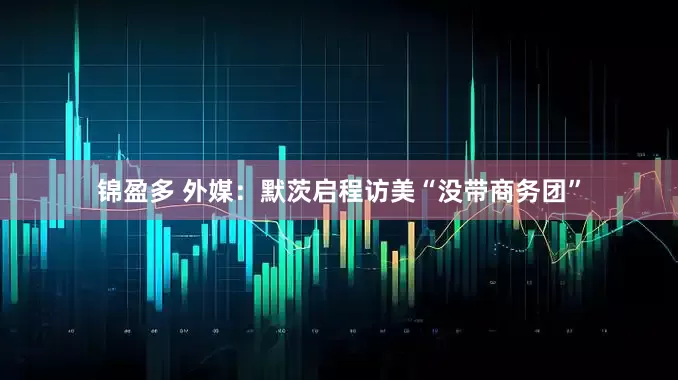 锦盈多 外媒：默茨启程访美“没带商务团”